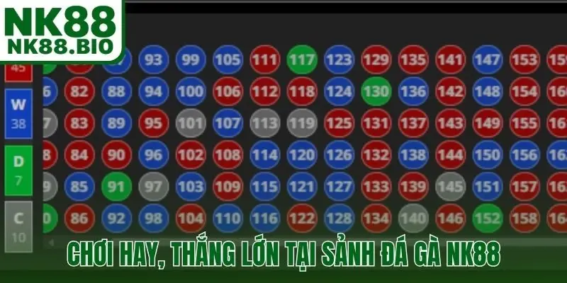 Kinh nghiệm chơi hay, thắng lớn tại sảnh đá gà NK88